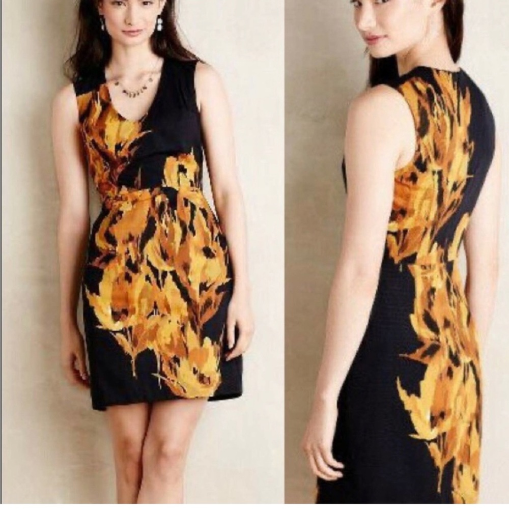 Anthropologie Tabitha Dress